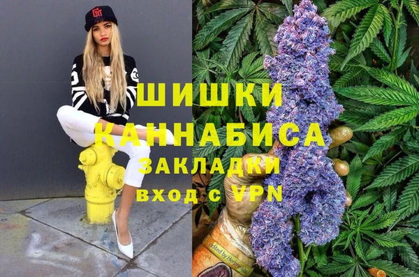 ПСИЛОЦИБИНОВЫЕ ГРИБЫ Алексеевка