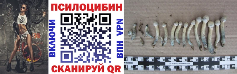 как найти закладки  Горбатов  Псилоцибиновые грибы мицелий 